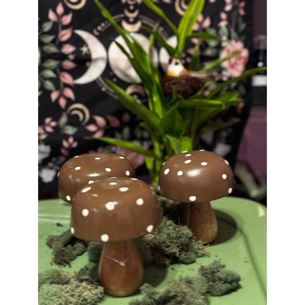 Aura’s Oddities Brown & White Mushroom Decor Accent (Ad is for one mushroom)